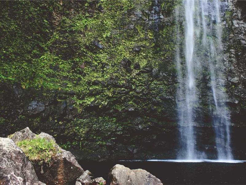 Temple Street Night Market